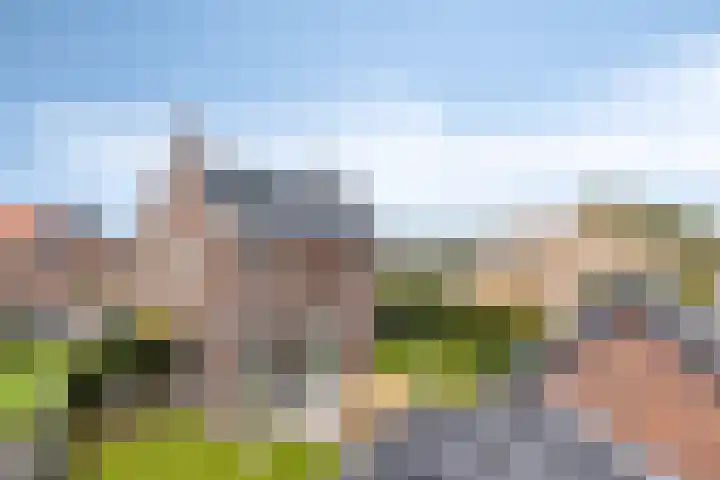 Fonteinkruid 9 Berlicum thumbnail 51