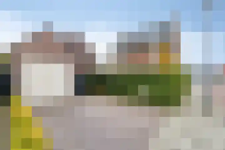 Fonteinkruid 9 Berlicum thumbnail 52