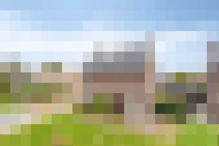 Fonteinkruid 9 Berlicum thumbnail 53