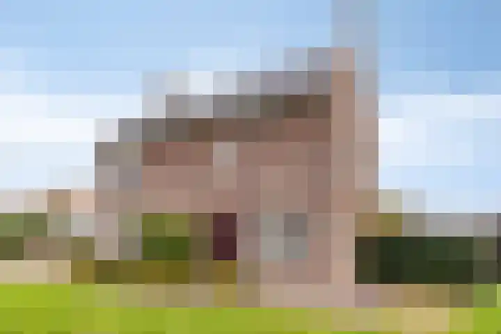 Fonteinkruid 9 Berlicum thumbnail 54