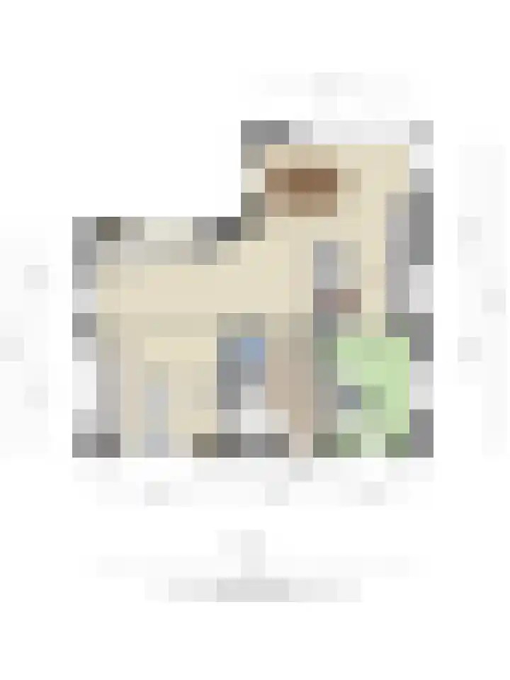 Fonteinkruid 9 Berlicum thumbnail 57