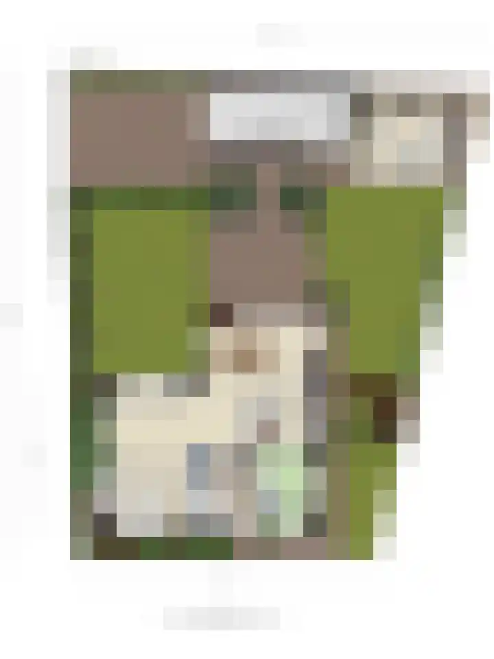 Fonteinkruid 9 Berlicum thumbnail 58