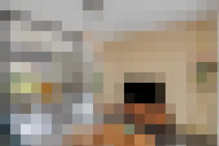 Fonteinkruid 9 Berlicum thumbnail 6