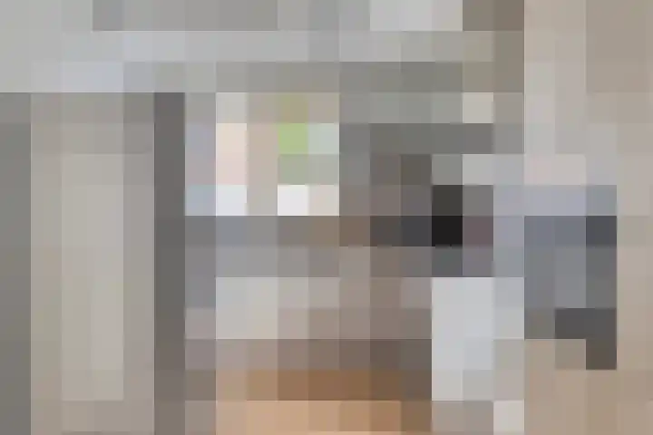 Fonteinkruid 9 Hendrik-Ido-Ambacht thumbnail 10