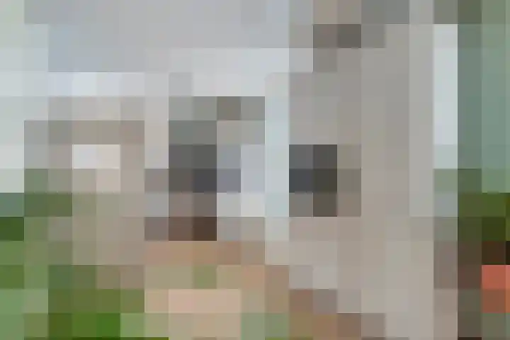 Fonteinkruid 9 Hendrik-Ido-Ambacht thumbnail 11