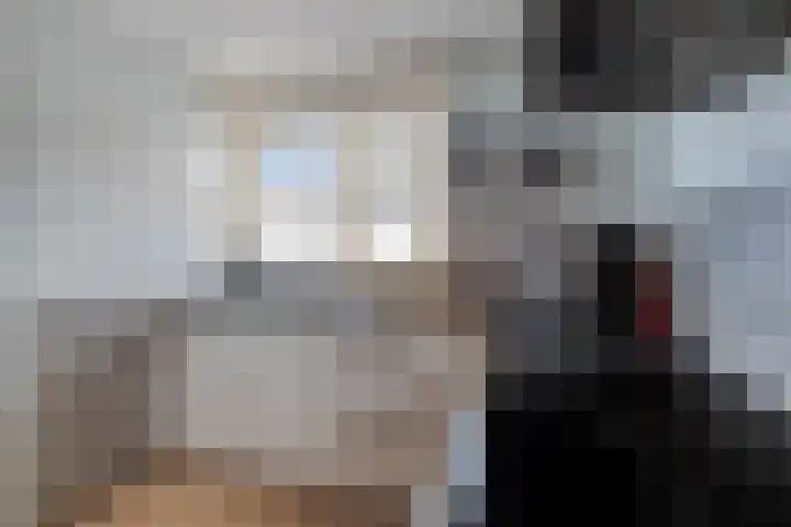 Fonteinkruid 9 Hendrik-Ido-Ambacht thumbnail 12