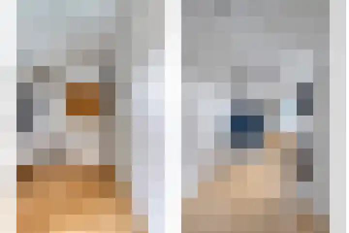 Fonteinkruid 9 Hendrik-Ido-Ambacht thumbnail 21