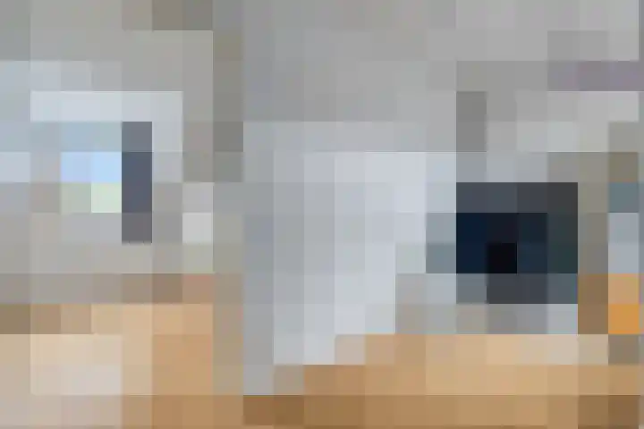 Fonteinkruid 9 Hendrik-Ido-Ambacht thumbnail 22