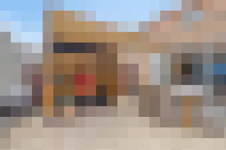 Fonteinkruid 9 Hendrik-Ido-Ambacht thumbnail 27