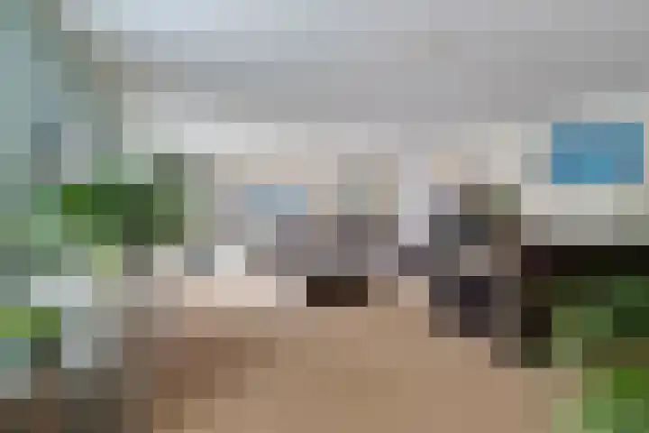 Fonteinkruid 9 Hendrik-Ido-Ambacht thumbnail 5