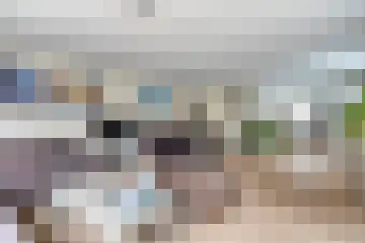 Fonteinkruid 9 Hendrik-Ido-Ambacht thumbnail 7