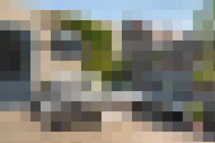 Fonteinkruid 9 Vlaardingen thumbnail 12