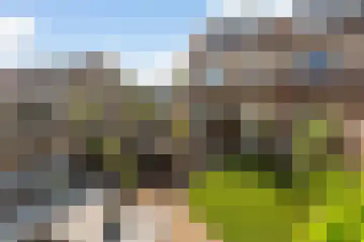Fonteinkruid 9 Vlaardingen thumbnail 13