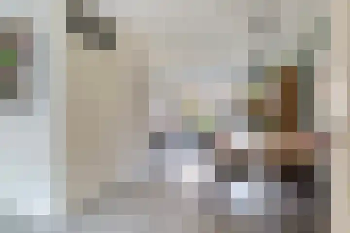 Fonteinkruid 9 Vlaardingen thumbnail 16