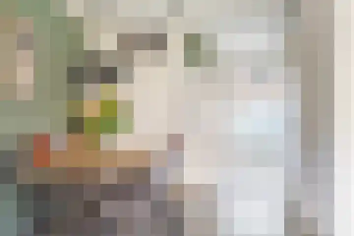Fonteinkruid 9 Vlaardingen thumbnail 17