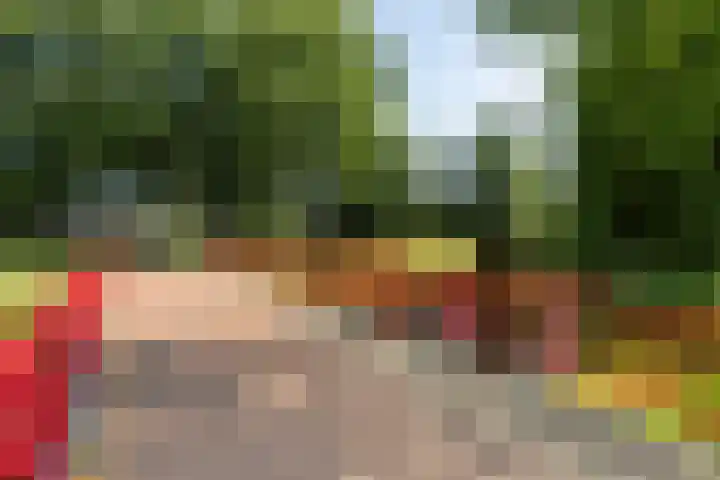 Fonteinkruid 9 Vlaardingen thumbnail 35