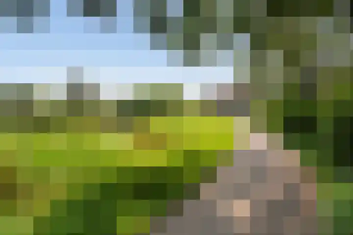 Fonteinkruid 9 Vlaardingen thumbnail 36
