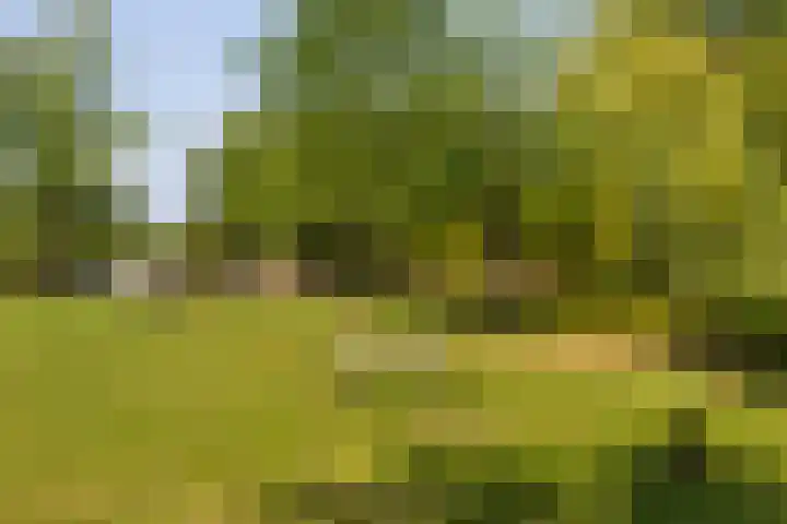 Fonteinkruid 9 Vlaardingen thumbnail 37