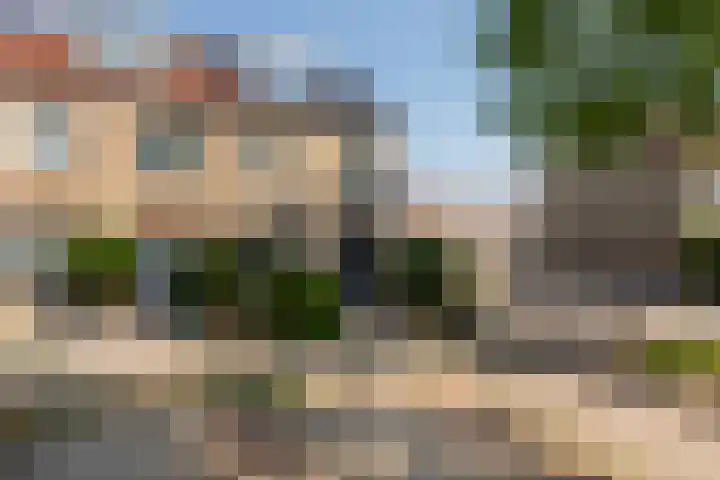 Fonteinkruid 9 Vlaardingen thumbnail 38