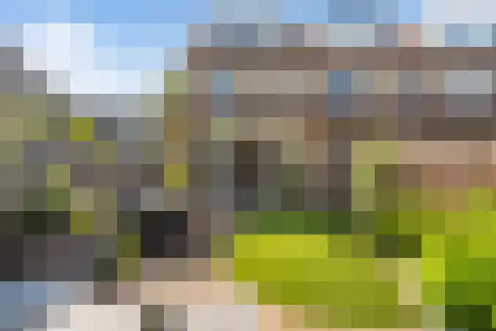 Fonteinkruid 9 Vlaardingen thumbnail 4