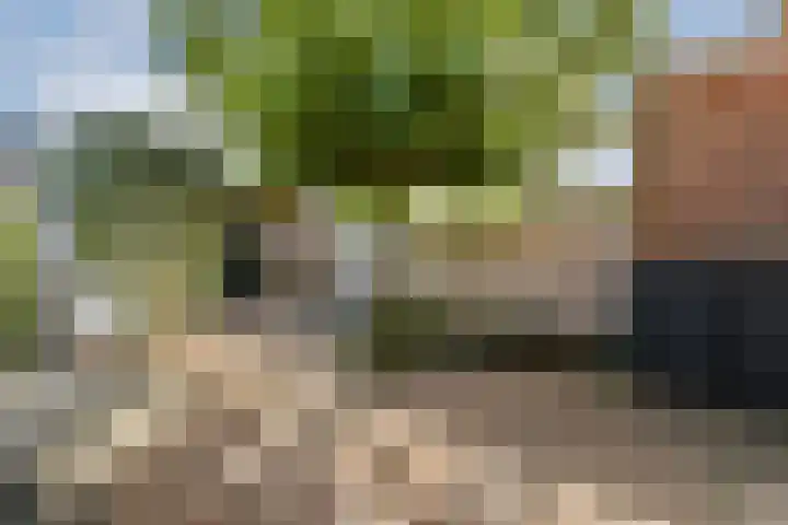 Fonteinkruidhof 1 Kudelstaart thumbnail 11