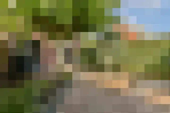 Fonteinkruidhof 1 Kudelstaart thumbnail 13