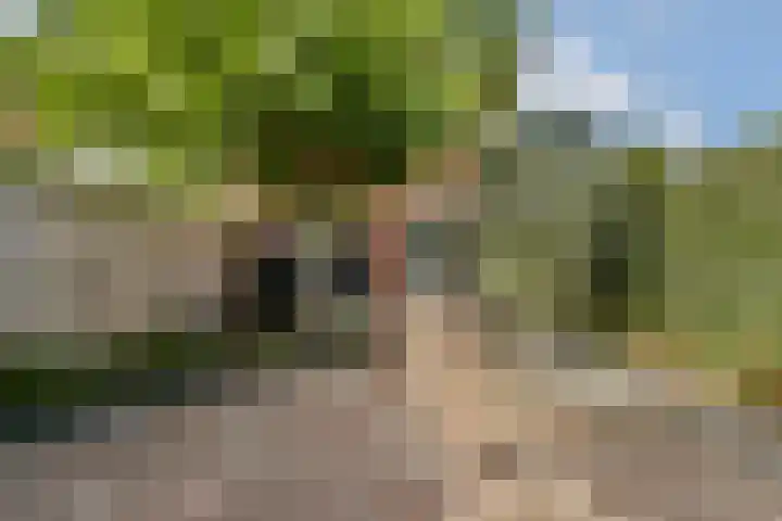 Fonteinkruidhof 1 Kudelstaart thumbnail 14
