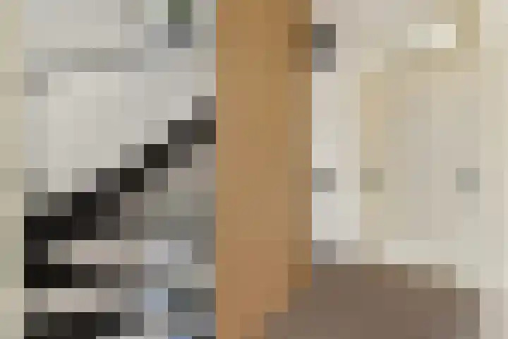 Fonteinkruidhof 1 Kudelstaart thumbnail 17