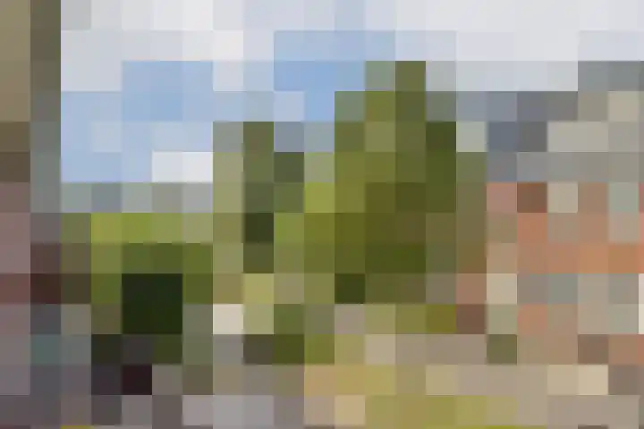 Fonteinkruidhof 1 Kudelstaart thumbnail 21