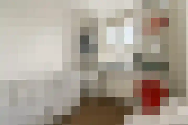Fonteinkruidhof 1 Kudelstaart thumbnail 24