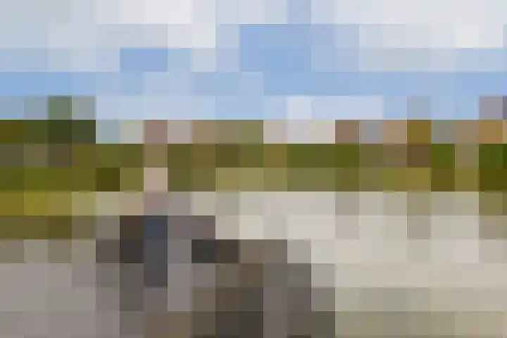 Fonteinkruidhof 1 Kudelstaart thumbnail 32