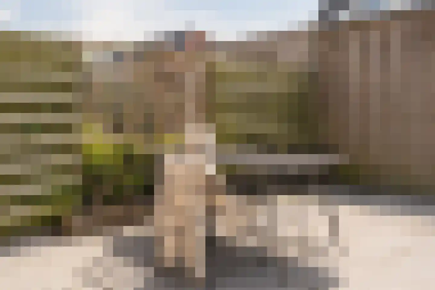 Fonteinkruidhof 36 Kudelstaart thumbnail 21