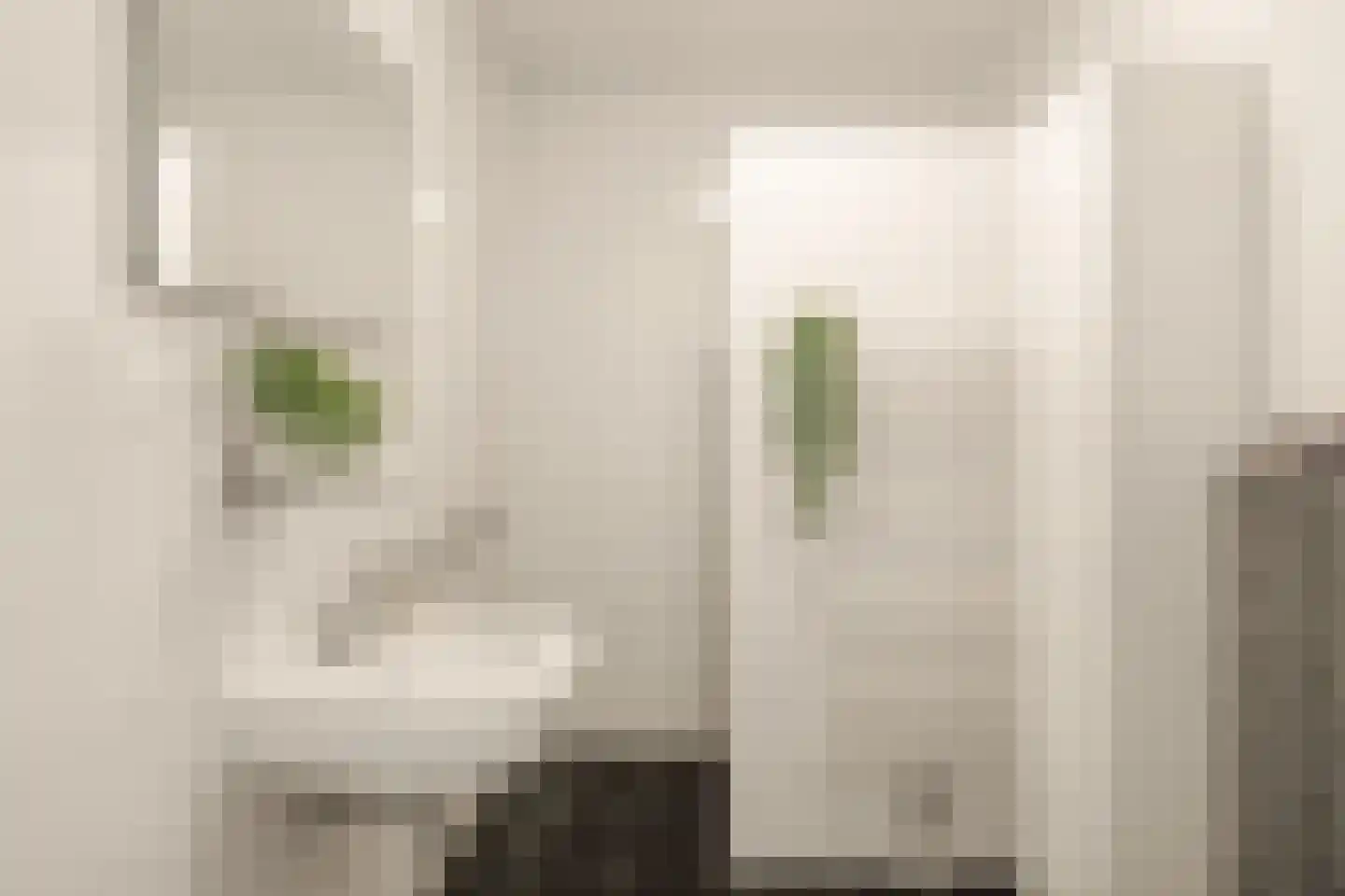 Fonteinkruidhof 36 Kudelstaart thumbnail 27