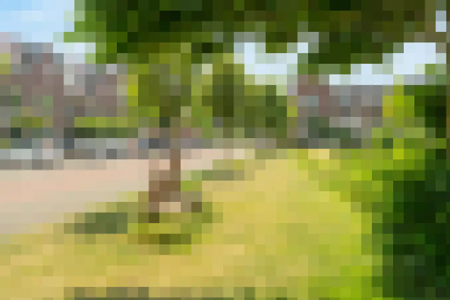 Fonteinkruidhof 36 Kudelstaart thumbnail 38
