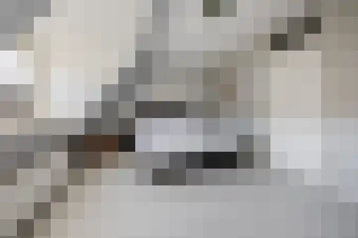 Fonteinkruidhof 6 Voorhout thumbnail 14