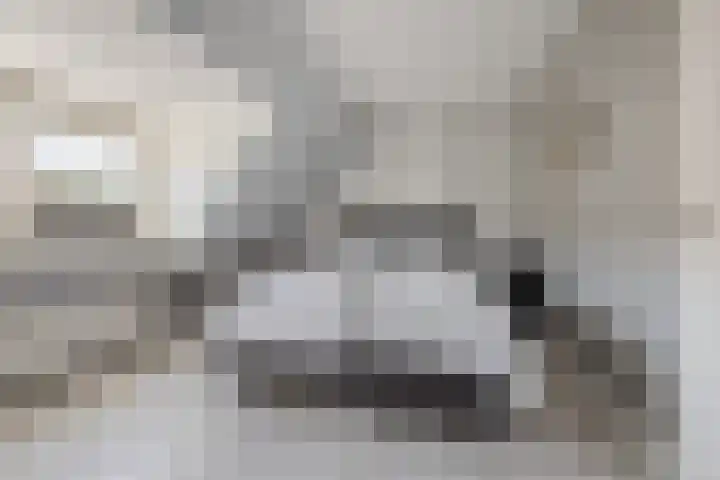 Fonteinkruidhof 6 Voorhout thumbnail 15