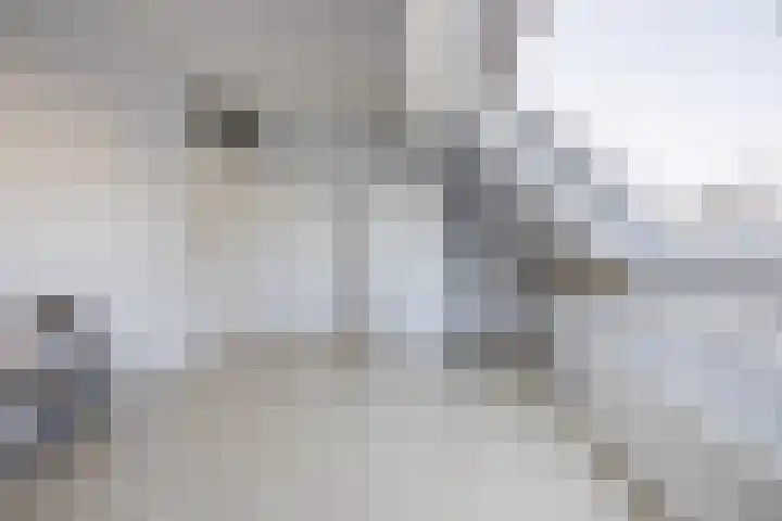 Fonteinkruidhof 6 Voorhout thumbnail 18