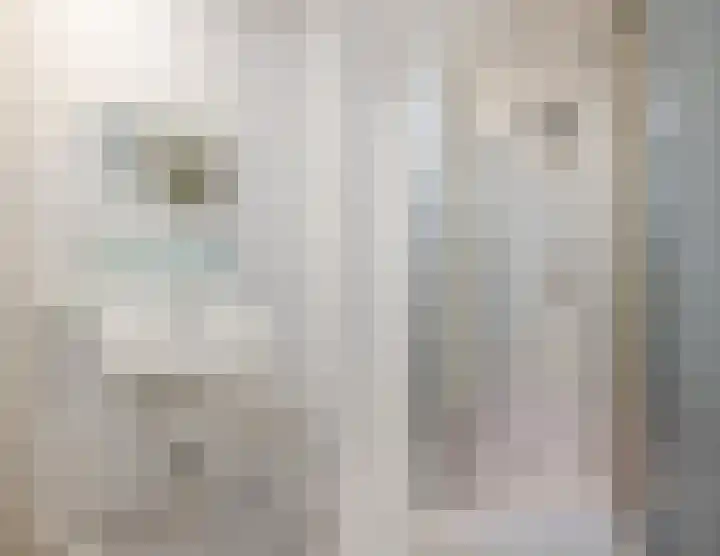 Fonteinkruidhof 6 Voorhout thumbnail 20