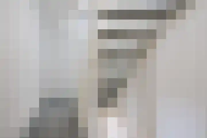 Fonteinkruidhof 6 Voorhout thumbnail 21