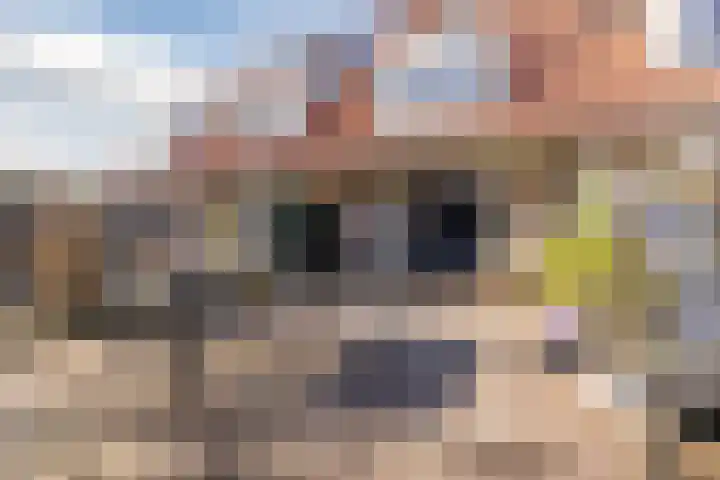 Fonteinkruidhof 6 Voorhout thumbnail 31