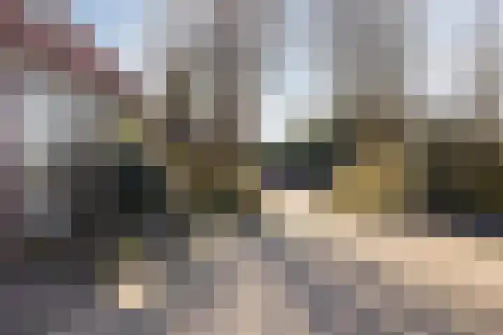 Fonteinkruidhof 6 Voorhout thumbnail 36