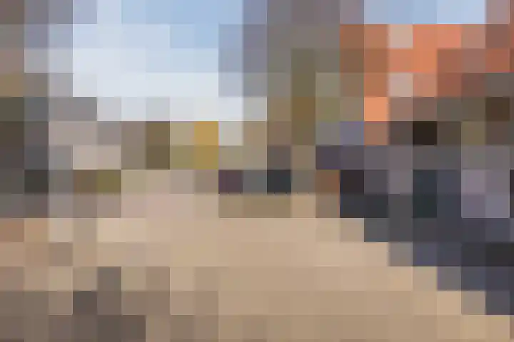Fonteinkruidhof 6 Voorhout thumbnail 37