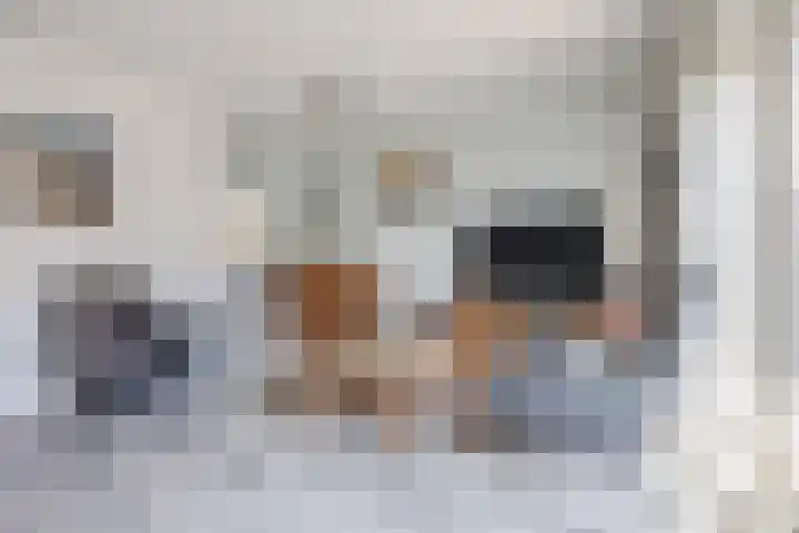 Fonteinkruidhof 6 Voorhout thumbnail 6
