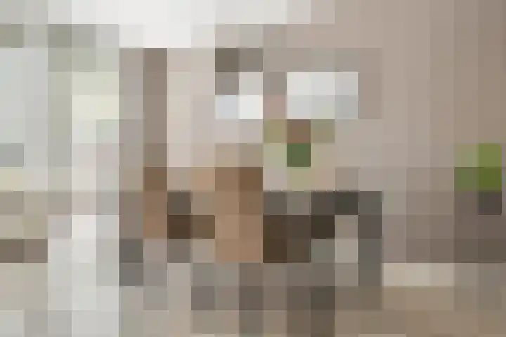 Fonteinkruidlaan 11 Enschede thumbnail 11