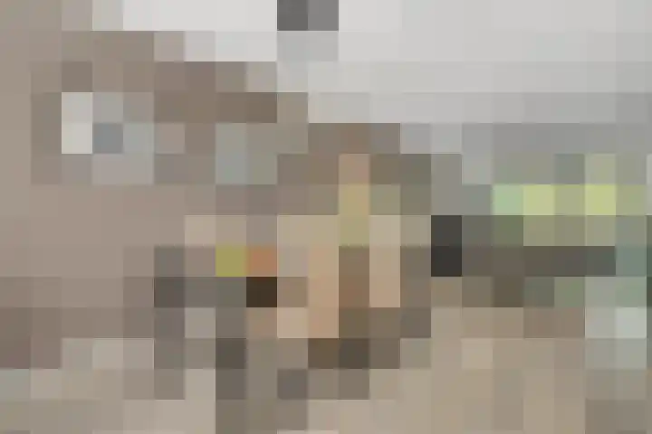 Fonteinkruidlaan 11 Enschede thumbnail 13