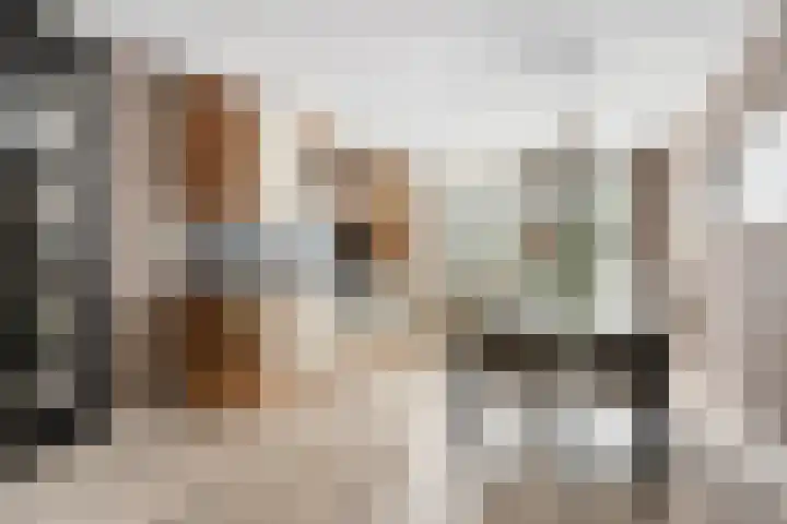 Fonteinkruidlaan 11 Enschede thumbnail 14
