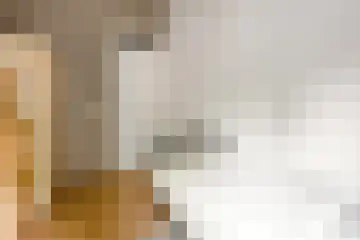 Fonteinkruidlaan 11 Enschede thumbnail 22