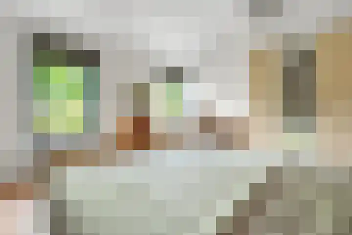 Fonteinkruidlaan 11 Enschede thumbnail 32