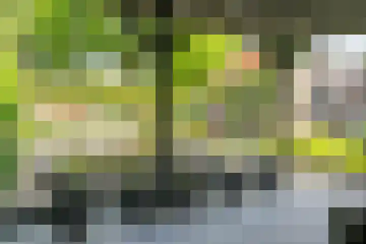 Fonteinkruidlaan 11 Enschede thumbnail 43