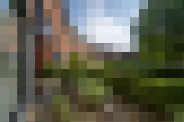 Fonteinkruidlaan 11 Enschede thumbnail 48
